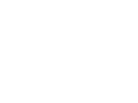 Hollands Nieuwe