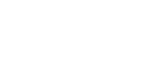 NPO zapp logo wht